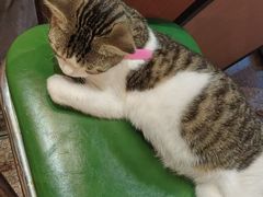 -官塘鱻鱻鱼生·潮汕生腌·砂锅粥(西马路总店)