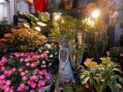 -双季花艺园艺市场(浦东店)
