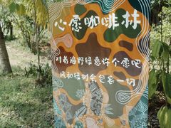 -兴隆隆苑咖啡庄园