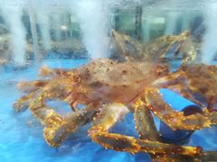 -七鲜超市(万向城店)