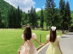 -深圳仙湖植物园-停车场