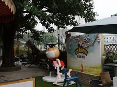 -柴犬高等学院·狗咖·柴犬售卖·宠物训练