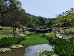 -东莞植物园