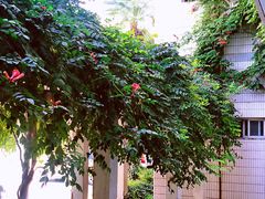 -西安市第二十三中学