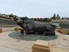 -广东圆玄道观