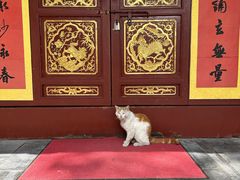 -长春观