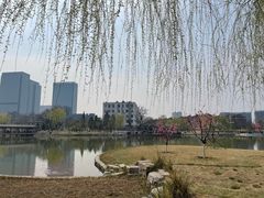 -西海子公园