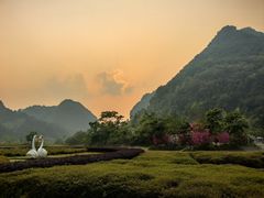 -靖西鹅泉风景区