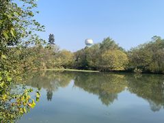 -西溪国家湿地公园