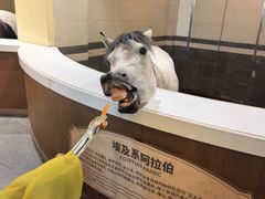 -中国马镇舞马世界主题乐园