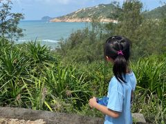 -广东惠东海龟国家级自然保护区