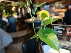 -拉蒂娜·巴西牛排馆 Latina·Brazilian Steakhouse(王府井喜悦店)