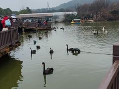 -无锡动物园·太湖欢乐园