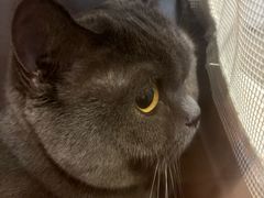 -宠爱国际动物医院·疑难骨科·心肾内科·皮肤科(太阳宫店)