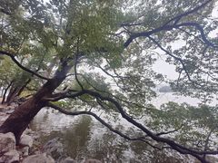-东湖落雁景区