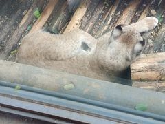 -昆明动物园