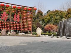 -合肥滨湖国家森林公园