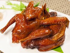 红烧乳鸽-深圳柯记餐厅(大望店)