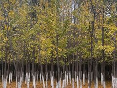 -艾溪湖湿地公园