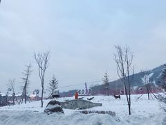 -长白山凯悦酒店·市集咖啡厅