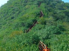 -大岭沟猕猴桃谷风景区