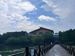 -溱湖国家湿地公园