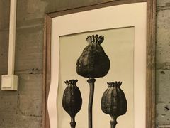 -Wood Garden(合生汇店)