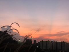 -白石龙音乐公园