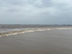 -观潮胜地公园