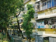 -水围村