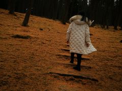 -硗碛藏寨·神木垒景区