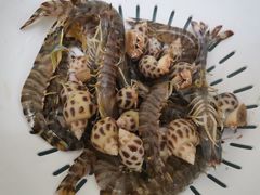 -盒马鲜生(馥邦国际店)