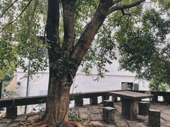 -两江国际影视城