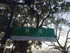 -西湖游船
