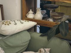 -知物癖(牛王庙店)
