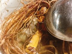 五指毛桃龙骨汤-玉和山庄农家菜