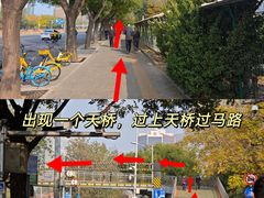 -三里屯东五街银杏大道