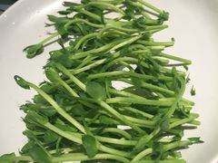 -夫妻肺片·中华老字号·正宗川菜(春熙路店)