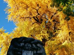 -潭柘寺景区