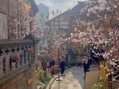 -重庆十八梯传统风貌区