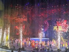 -广州长隆国际大马戏