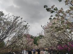 -观澜湖生态运动公社