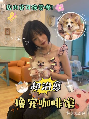 西安探店|超治愈撸宠换装体验馆