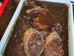 -南蚝小贝海鲜特色餐厅(南澳岛店)