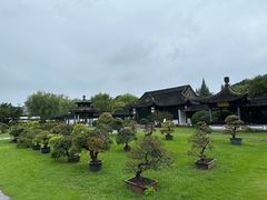 -扬州大运河文化旅游度假区·盆景园