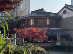 -龙潭水乡