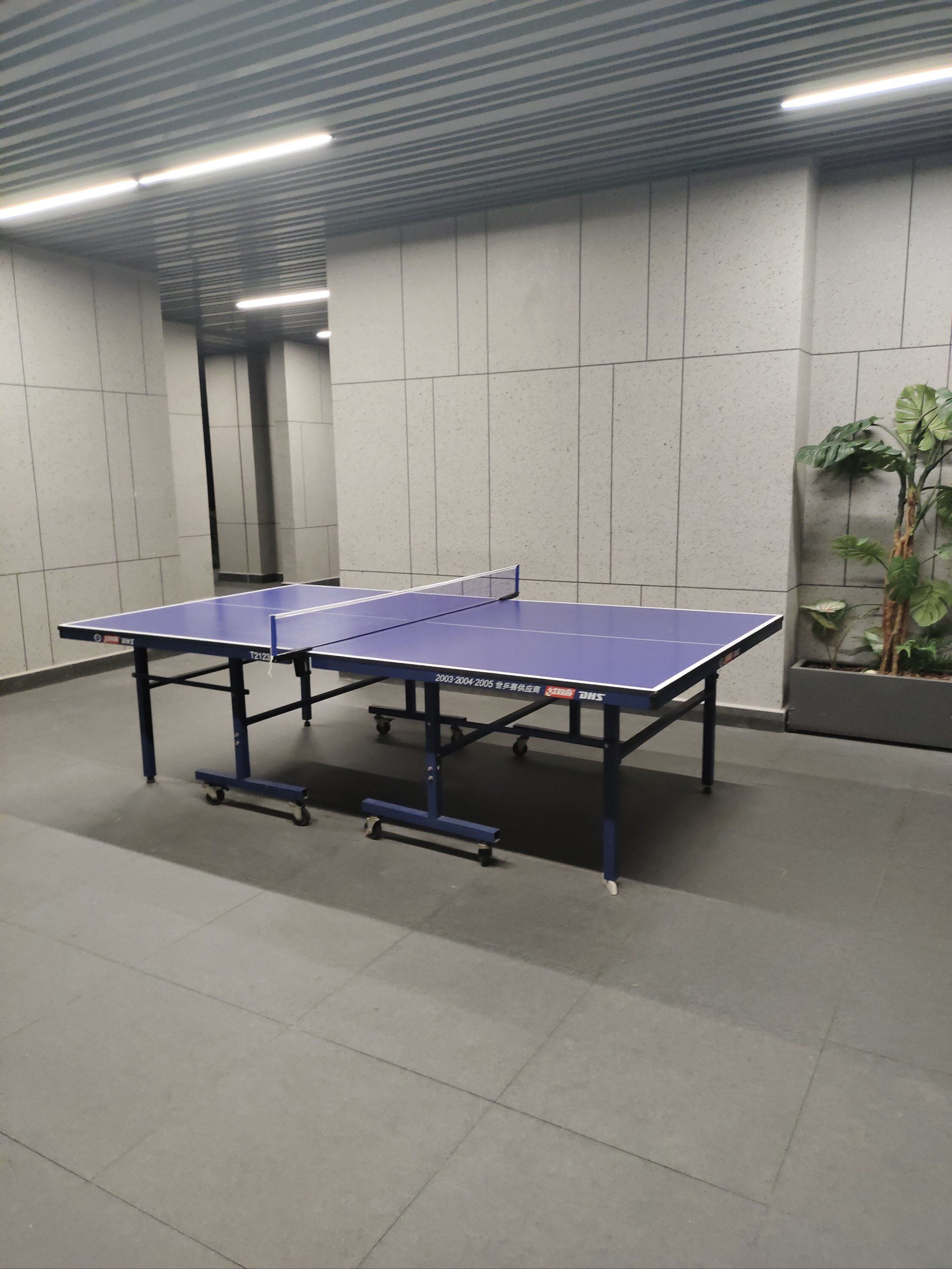 免费的乒乓球场地
