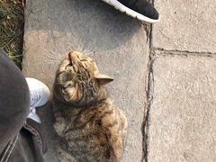-馋嘴诱惑