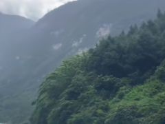 -阿依河景区
