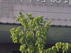 -临沂市博物馆